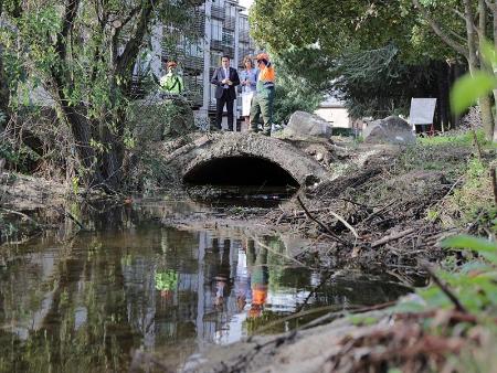 Imagen Magdalena Rodríguez se interesa por el trabajo realizado por una de las cuadrillas de brigadas forestales de la Diputación en El Espinar, tras la DANA que afectó al municipio